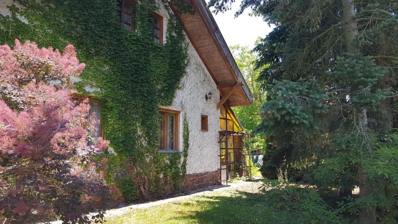 Haus Veronika Zamárdi Exterior foto